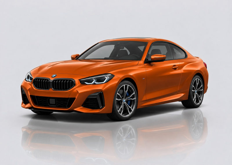 BMW 2 Series / M2 Mileage Blocker