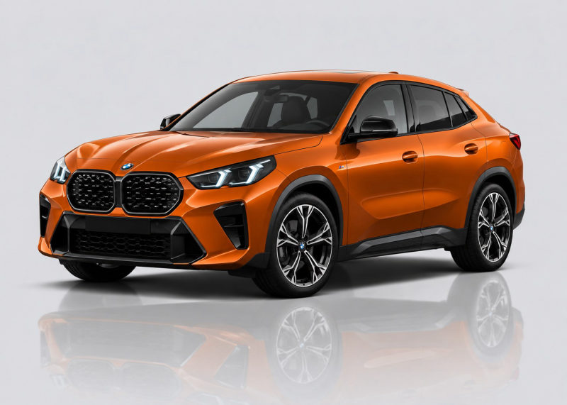 BMW X2 Mileage Blocker