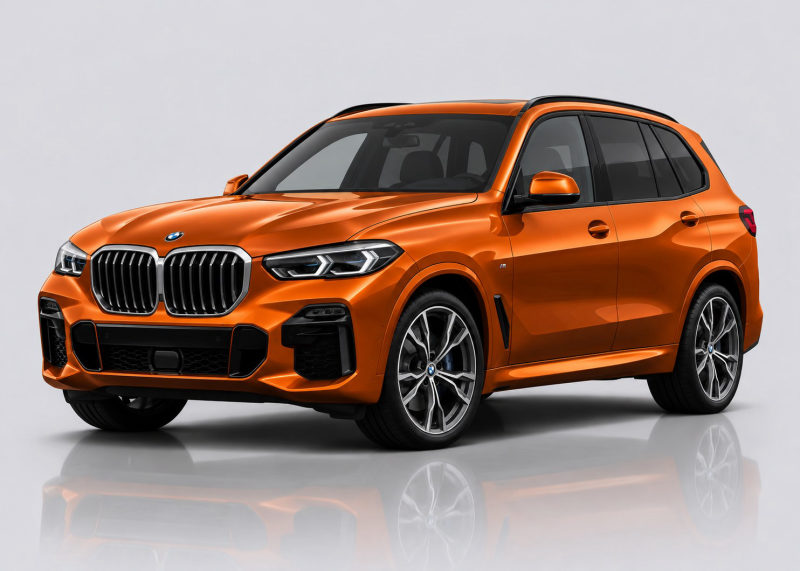 BMW X5 / X5 M Mileage Blocker