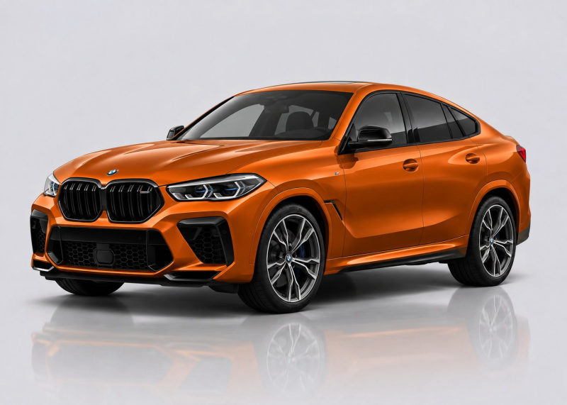 BMW X6 / X6 M Mileage Blocker