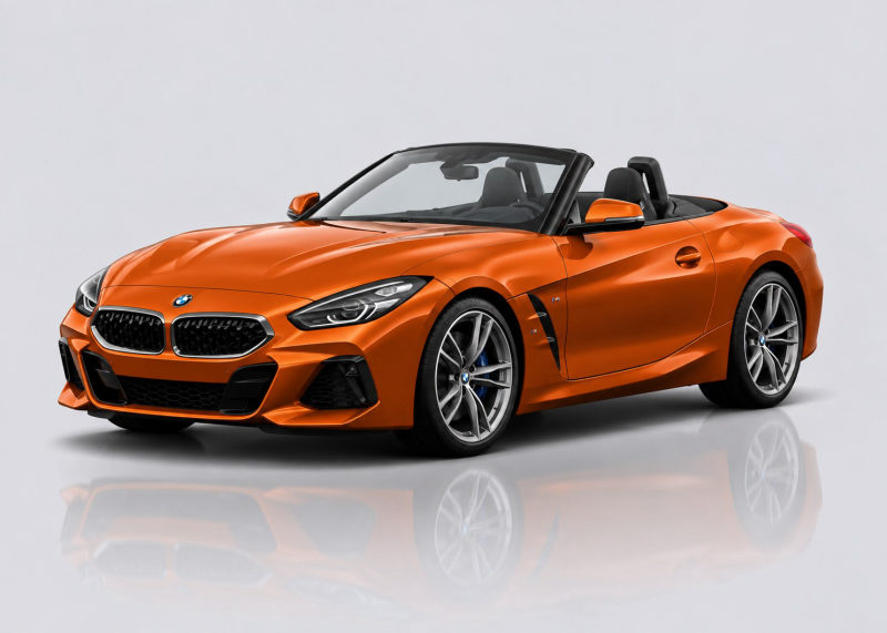 BMW Z4 Mileage Blocker