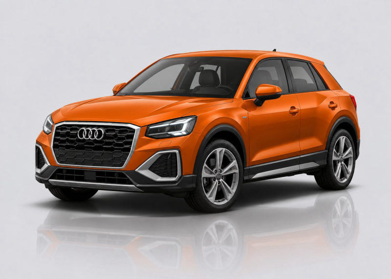 Audi Q2 / SQ2 Mileage Blocker