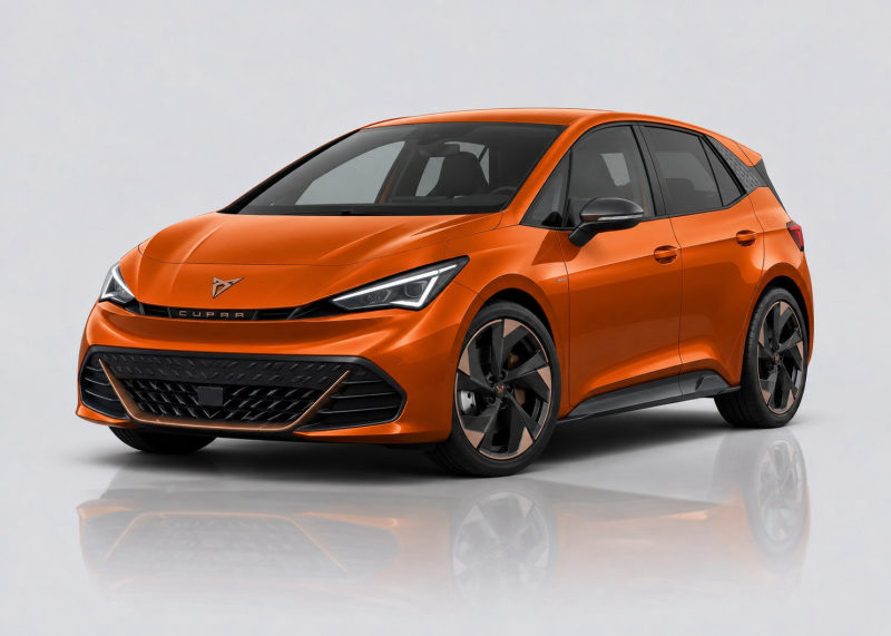 Cupra Born Mileage Blocker