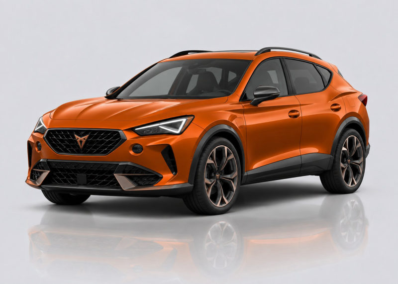 Cupra Formentor Mileage Blocker