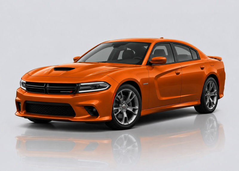 Dodge Charger Mileage Blocker