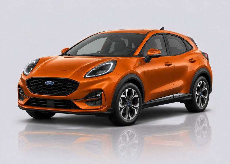 Ford Puma Mileage Blocker