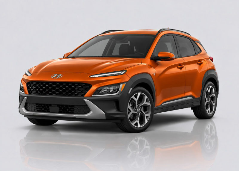 Hyundai Kona Mileage Blocker