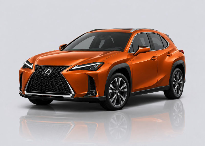 Lexus UX Mileage Blocker