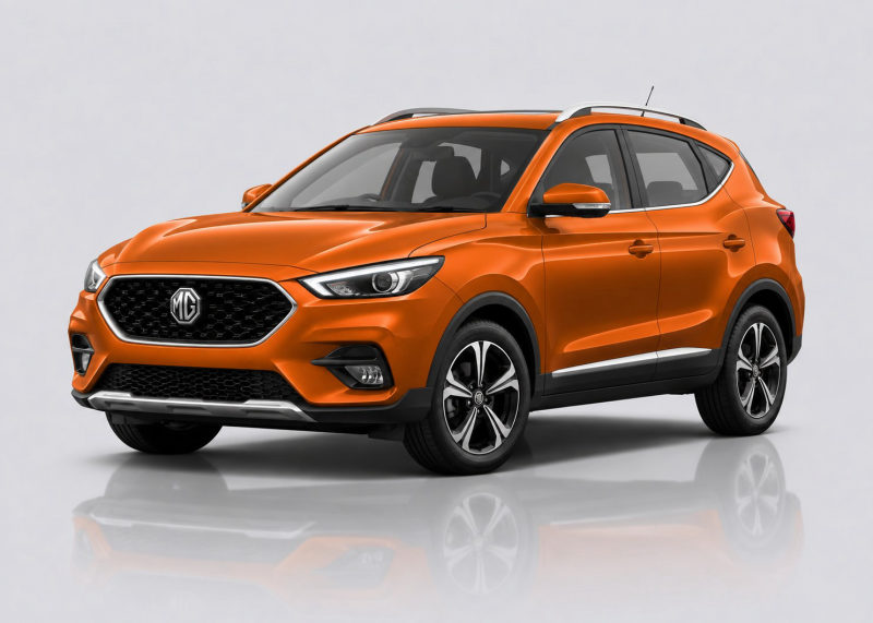 MG ZS Mileage Blocker