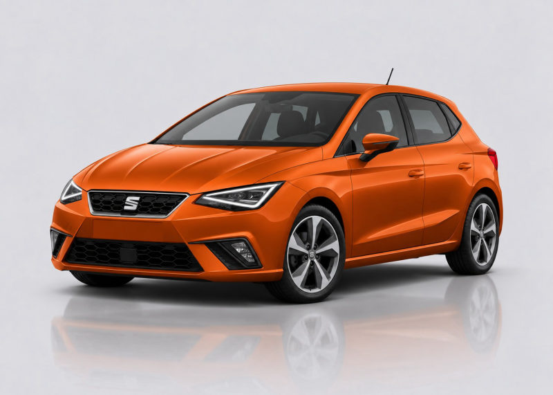 Seat Ibiza Mileage Blocker