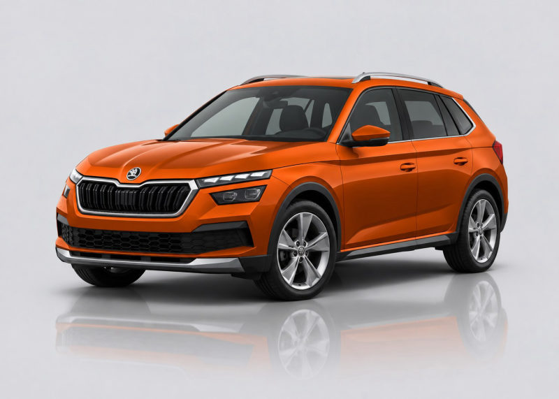 Skoda Kamiq Mileage Blocker