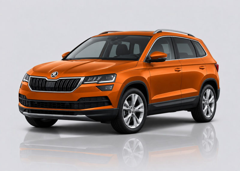 Skoda Karoq Mileage Blocker