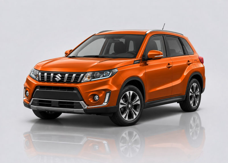 Suzuki Vitara Mileage Blocker